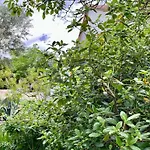 Aux Belles - Adults Only Bed and breakfast Caux-et-Sauzens