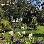 Bed and breakfast Aux Belles - Adults Only Caux-et-Sauzens