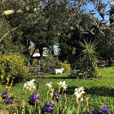 לינה וארוחת בוקר Aux Belles - Adults Only Caux-et-Sauzens